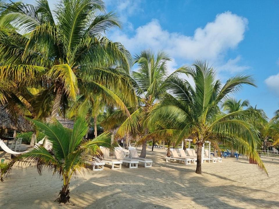 Caribbean Beach Cabanas Placencia Luaran gambar